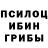 Псилоцибиновые грибы MAGIC MUSHROOMS U. Hinson