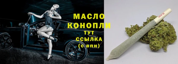 метадон Богданович