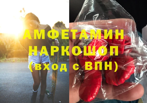 метадон Богданович