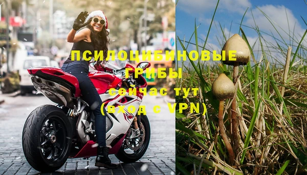 метадон Богородицк
