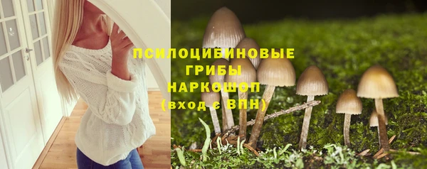 метадон Богданович