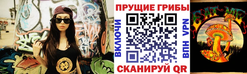 кракен онион  Мезень  Галлюциногенные грибы Psilocybe 